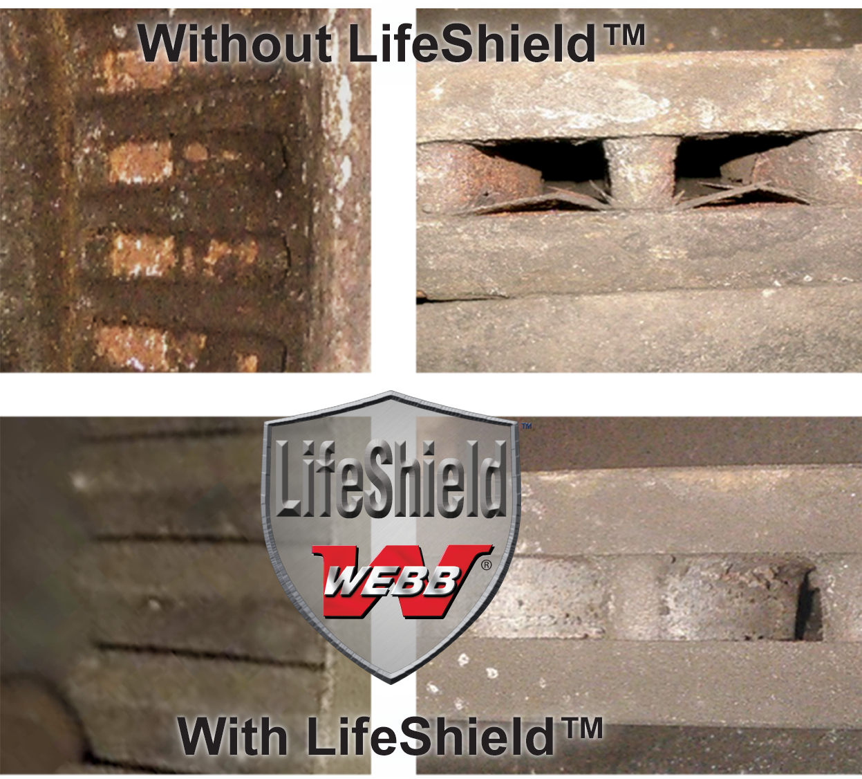 life shield rotor